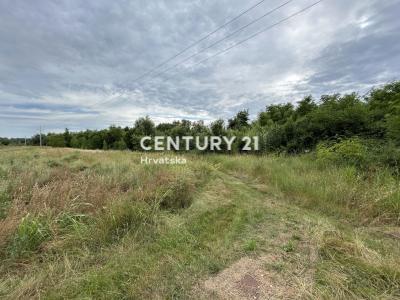 Umag, Umag, Istarska Županija 52470, Croatia