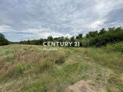 Umag, Umag, Istarska Županija 52470, Croatia