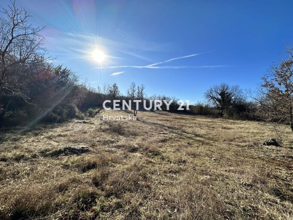 Poreč, Baderna, Poreč, Istarska Županija 52440, Croácia