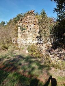 Poreč, Baderna, Poreč, Istarska Županija 52440, Croácia