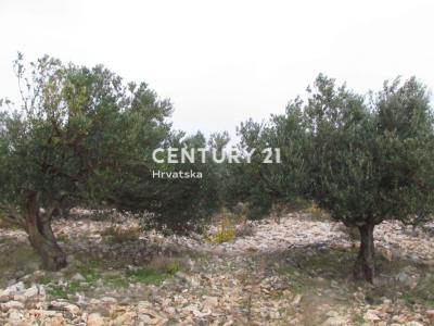 Rogoznica, Dvornica, Rogoznica, Šibensko-kninska Županija 22203, Croatia