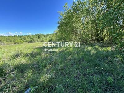 Motovun, Motovun, Istarska Županija 52423, クロアチア