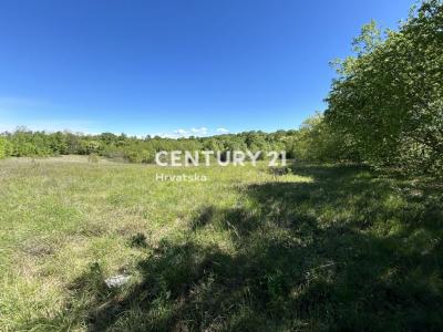 Motovun, Motovun, Istarska Županija 52423, Kroatien