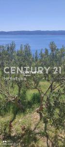 Omiš, Pisak, Omiš, Splitsko-dalmatinska Županija 21310, 크로아티아