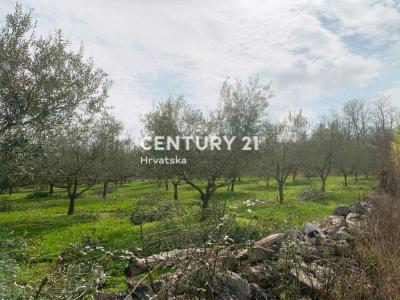 Poreč, Radmani, Poreč, Istarska Županija 52440, Croatia