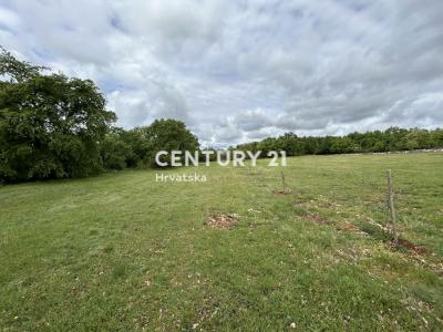 Sveti Lovreč, Sveti Lovreč, Istarska Županija 52448, Croazia