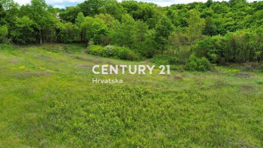 Sveti Lovreč, Sveti Lovreč, Istarska Županija 52448, Croazia