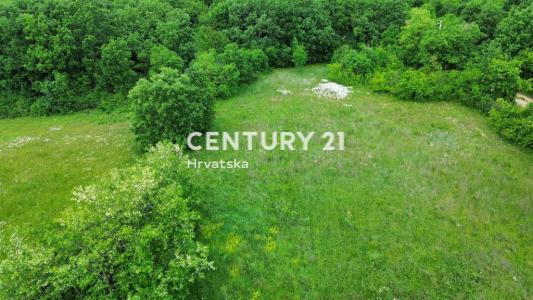 Svetvinčenat, Svetvinčenat, Istarska Županija 52342, Croazia