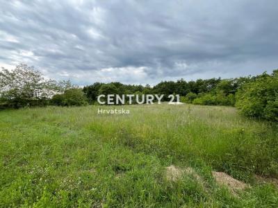 Svetvinčenat, Svetvinčenat, Istarska Županija 52342, Croazia