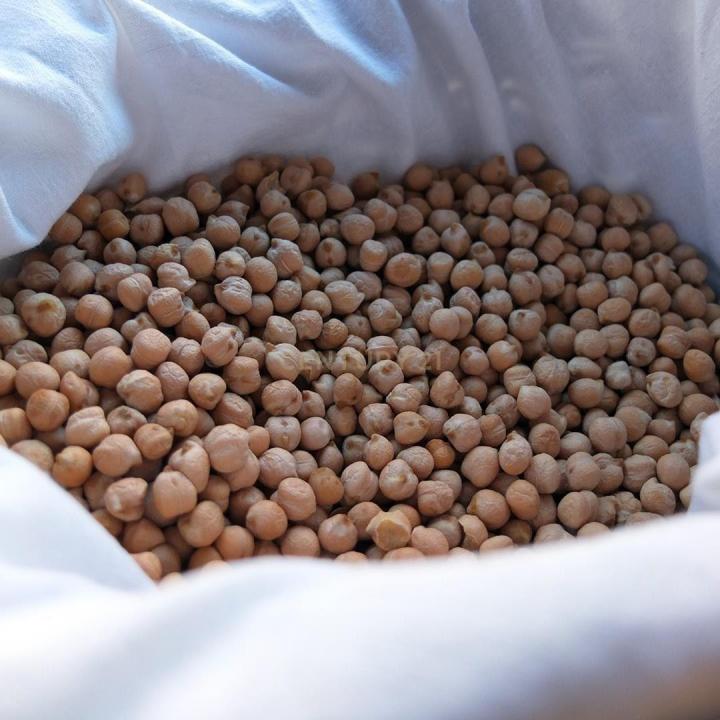 Porto, Porto 4000-206, Portugalia