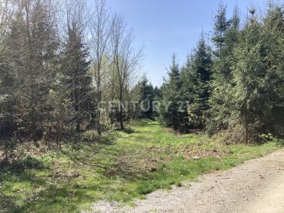 Fürstenzell, Bayern 94081, Germany