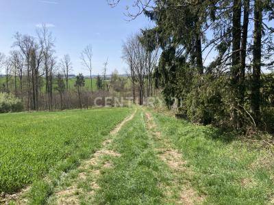 Fürstenzell, Bayern 94081, Germany