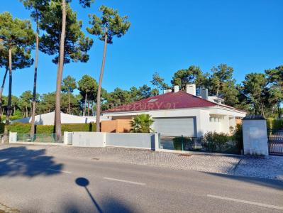 Almada, Setubal 2820-564, Portugal