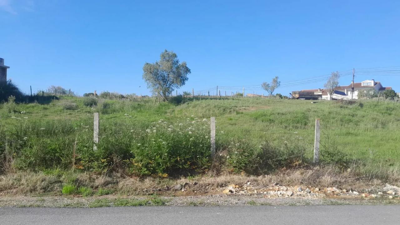 Aveiro, Aveiro 3810-757, Portugal