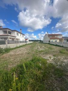 Vagos, Aveiro 3840-101, Portugal