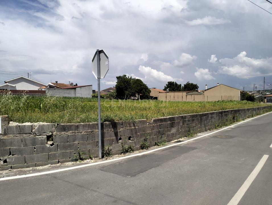 Aveiro, Aveiro 3800-796, Portugalia