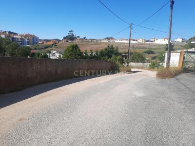 Mafra, Lisbon 2665-258, Portugal