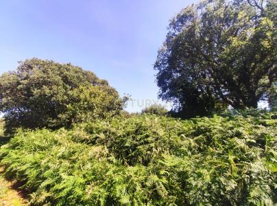 Matosinhos, Porto 4455-173, Portugal