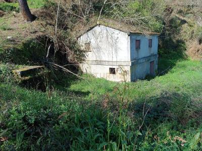 Amarante, Porto 4600-570, Portekiz