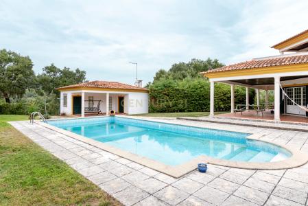 Tomar, سانتاريم 2305-322, البرتغال