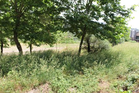 Amarante, Porto 4605-120, Portekiz