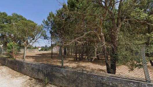 Ovar, Aveiro 3885-729, Portugal