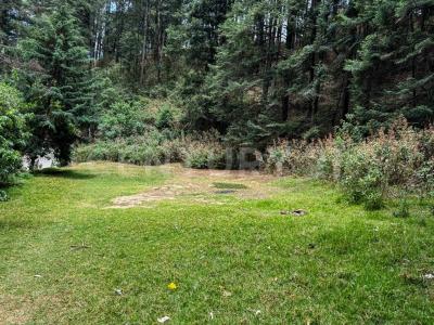 10902 San Jose de la Manzanas, Cerrito de Estafiate 724 R, Jilotzingo, Bang México 54570, Mexico