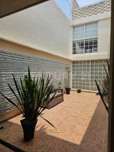 Manizales , Gustavo A. Madero, Ciudad De México 07300, Mexico