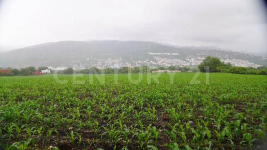 Jose Salazar 0001, Chilpancingo De Los Bravo, ゲレロ 39075, メキシコ