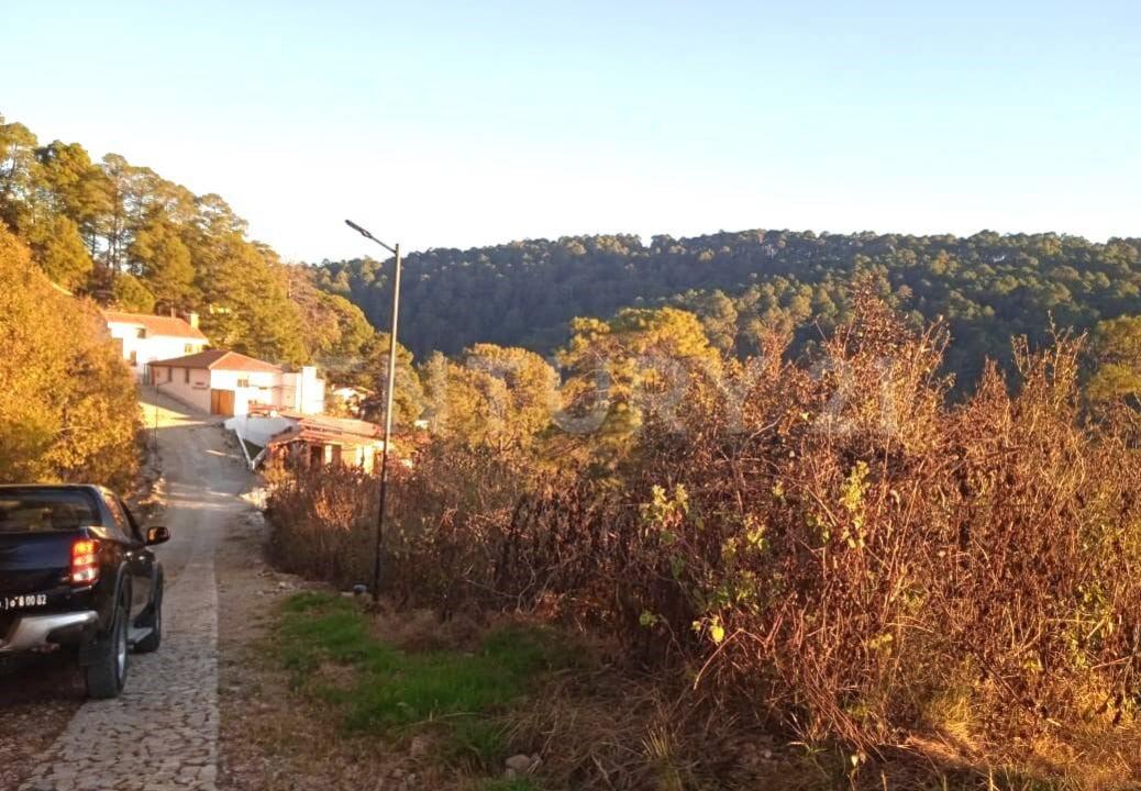 Fracc. Santa Rita, Calle Innominada S/N, San Cristóbal De Las Casas, 恰帕斯 29230, 墨西哥