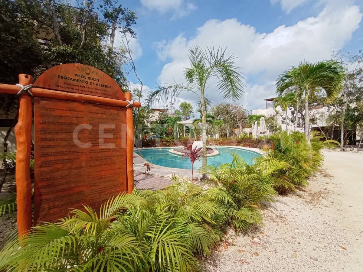 Selva Norte, Tulum, Quintana Roo 77780, México