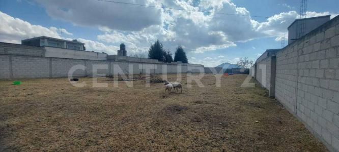 Av Benito Juárez SN, Xaloztoc, Tlaxcala 90460, Mexico