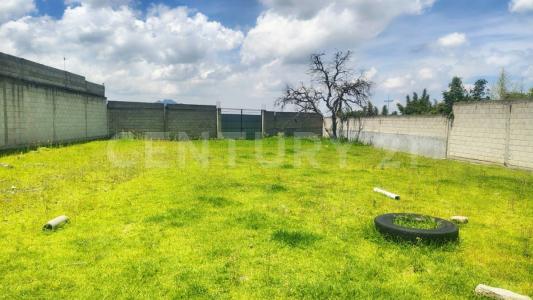 Av Benito Juárez SN, Xaloztoc, トラスカラ 90460, メキシコ