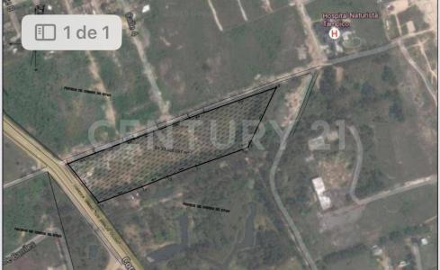 Ciudad Madero, Tamaulipas 89505, Mexique