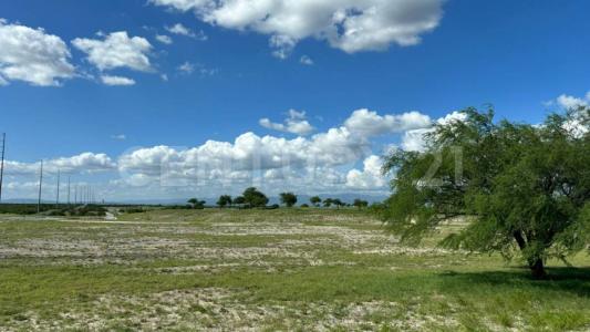 Pesqueria, Nuevo León 66660, Mexico