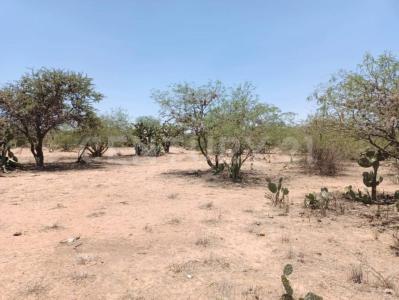 Priv. Los Palomos , Mexquitic De Carmona, San Luis Potosi 78483, Mexiko