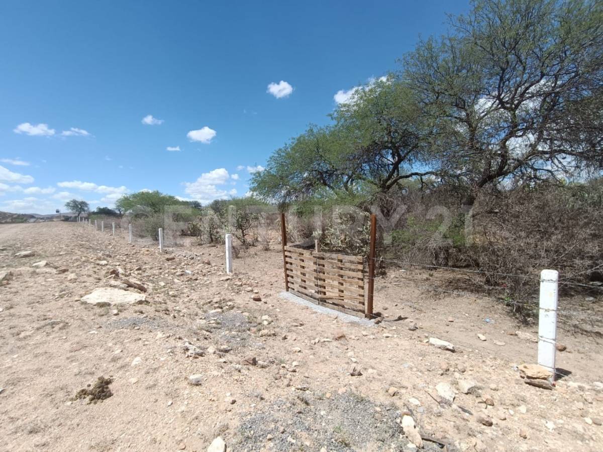 Carr. S.L.P.- Qro , Santa Maria Del Río, San Luis Potosi 79580, México