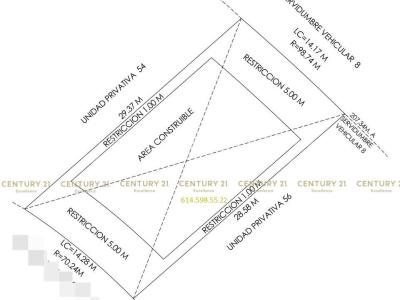 チワワ, チワワ 31115, メキシコ