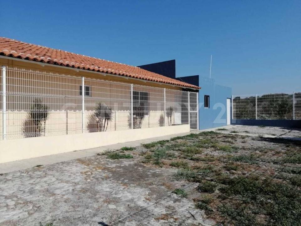 Cisnes esq. Nicolas Bravo S/N, Cuauhtemoc, Colima 28500, México