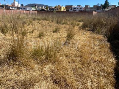 Hacienda Barbosa , Zinacantepec, Estado De México 51356, México