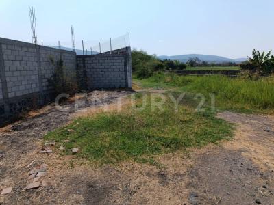 Campo de Leona SN, Xochitepec, Morelos 62795, México