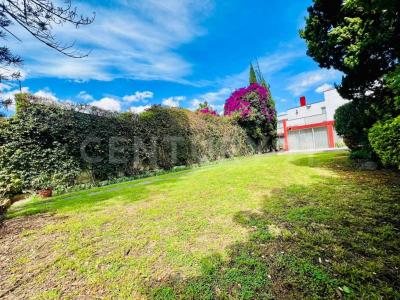 Retama 79, Tlalpan, Ciudad De México 14080, Mexico