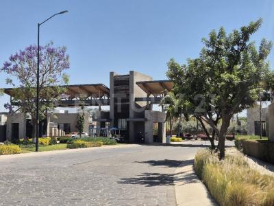 FRACCIONAMIENTO HACIENDA CARLOTA CAMINO A VANEGAS 324, Corregidora, Querétaro 76910, Meksika