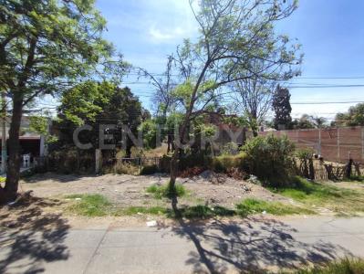 Av. 20 de Noviembre ., Ocotlan, Jalisco 47892, Mexico