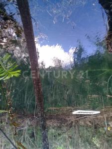 Ruta de los Cenotes Parcela 83, Puerto Morelos, Quintana Roo 77580, Mexico