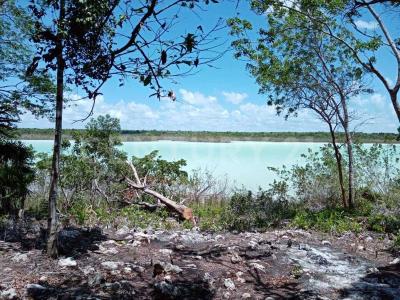 Carretera Chetumal - Laguna Guerrero Lote 4, Othon P Blanco, Quintana Roo 77907, México