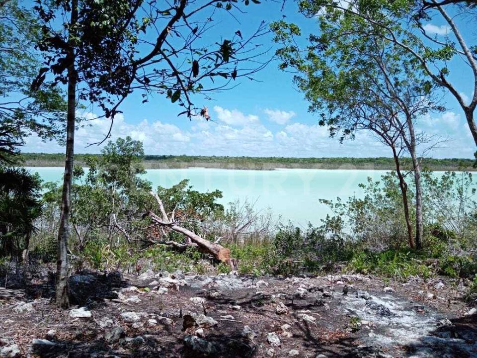 Carretera Chetumal - Laguna Guerrero Lote 4, Othon P Blanco, Quintana Roo 77907, México