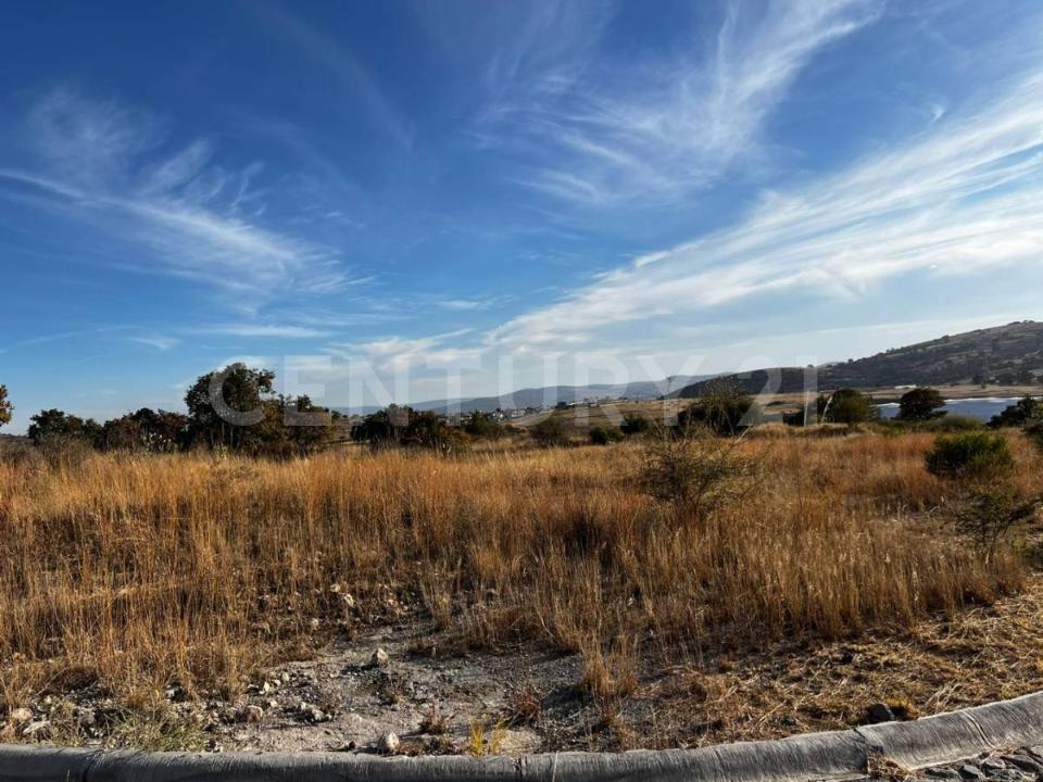 circuito el potrero lote 17, Amozoc, Puebla 72998, México
