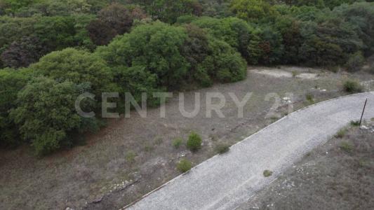 Rincon de Valle Grande Lote 3 Manzana 1, Amozoc, Пуэбла 72998, Мексика