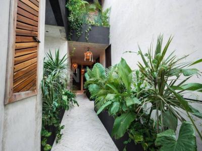 Beta Sur Gama Oriente, Tulum, Quintana Roo 77760, Mexico